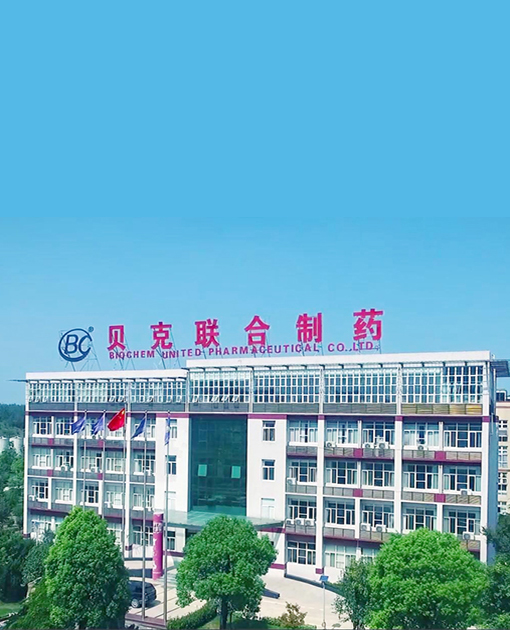安徽贝克联合制药有限公司